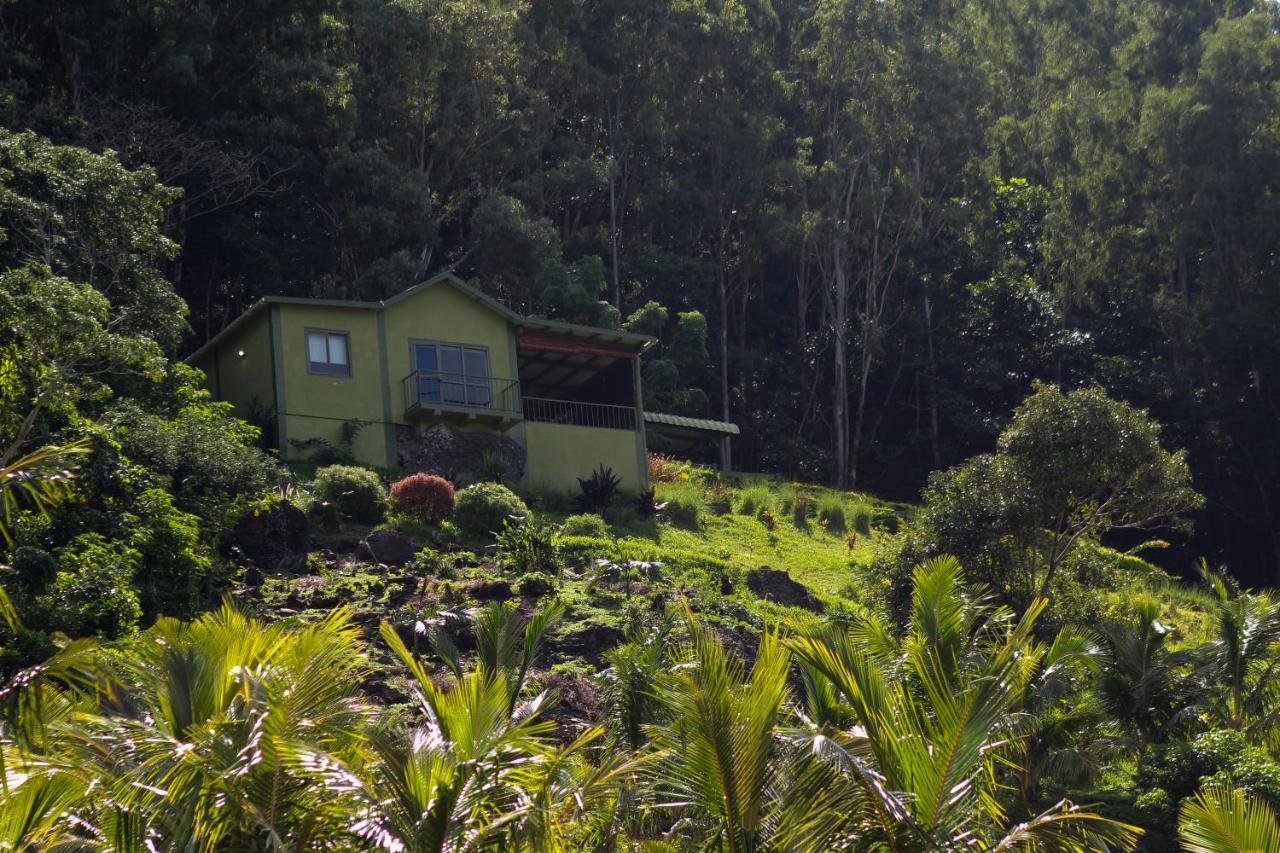 The Green Shack Quatre Soeurs Exterior foto